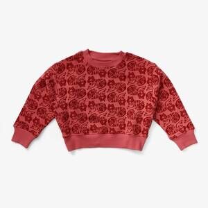 NEW LEWIS boy's print organic cotton sweatshirt in tiger | spice